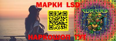 индика Малгобек