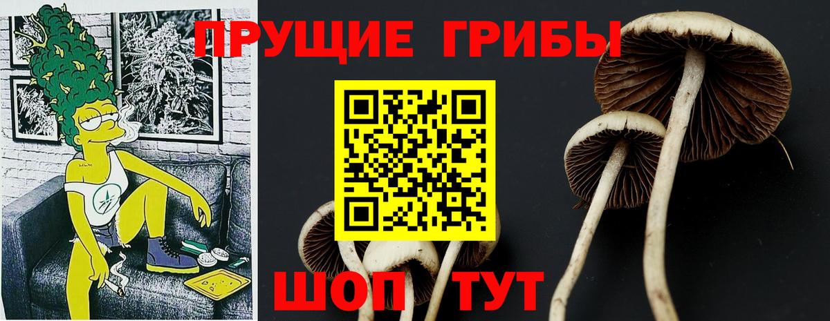 Галлюциногенные грибы Psilocybe  Вход с VPN  Псилоцибиновые грибы Magic Shrooms  Заводоуковск 